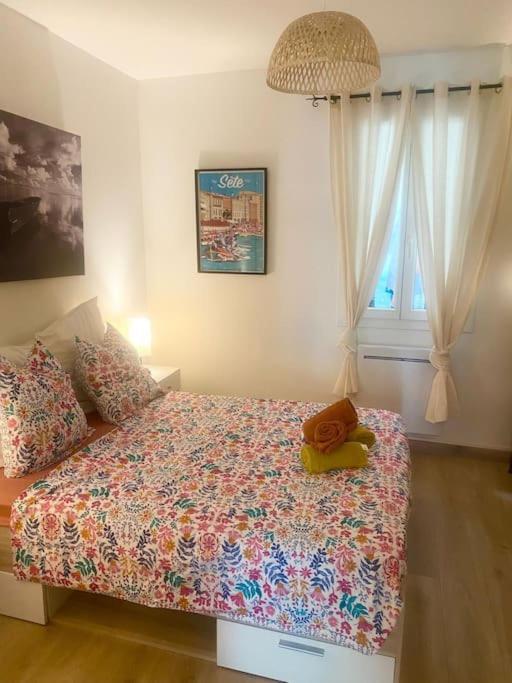 Appartement Neuf Cosy Centre Ville Quartier Haut Sete Exterior photo